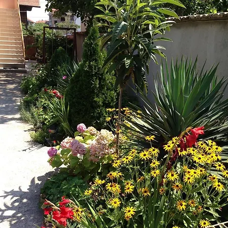 Guest house Chervenkov Chernomorets