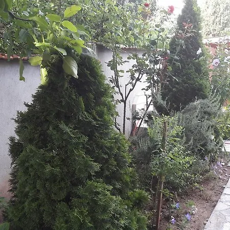Konukevi Chervenkov 2*
