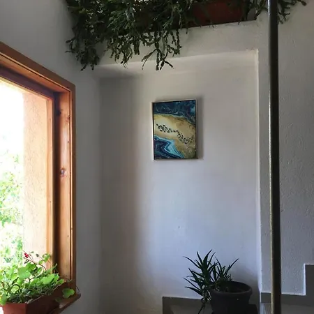 Pensionat Chervenkov 2*