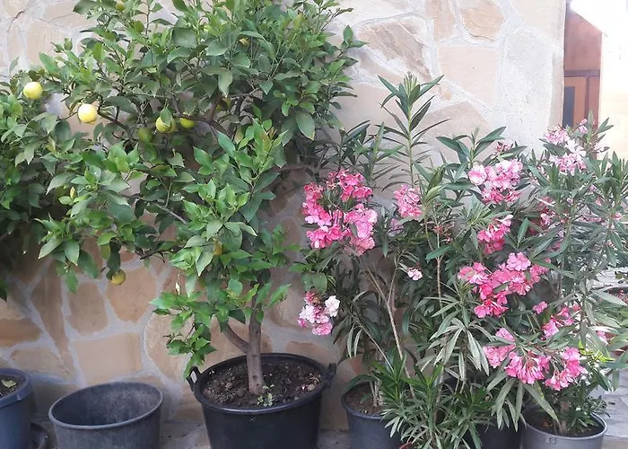 Chervenkov Vendégház Csernomorec